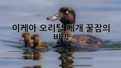 이케아 오리털 베개: 꿀잠의 비밀