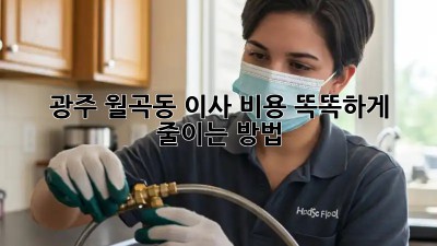 광주 월곡동 이사, 비용 똑똑하게 줄이는 방법!